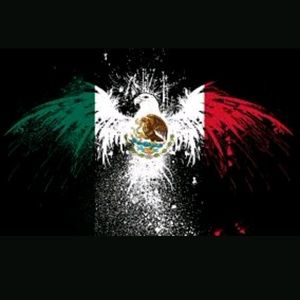 Meet your Posher, Angel